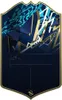 Team of the Season S22 (1)